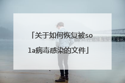 关于如何恢复被sola病毒感染的文件