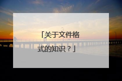 关于文件格式的知识？