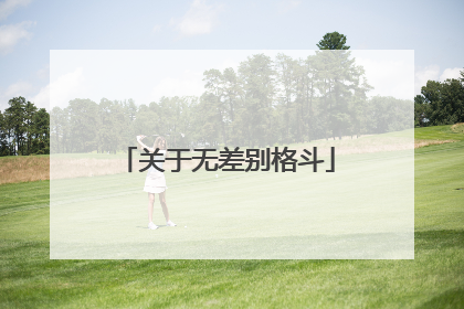 关于无差别格斗