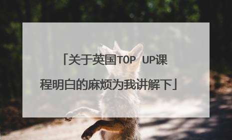 关于英国TOP UP课程明白的麻烦为我讲解下