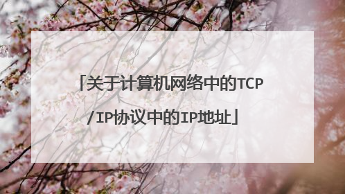 关于计算机网络中的TCP/IP协议中的IP地址