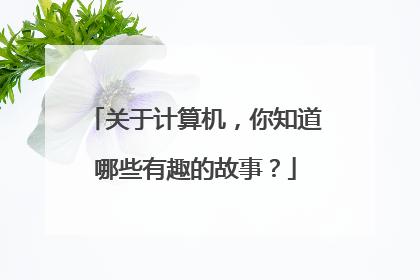 关于计算机，你知道哪些有趣的故事？