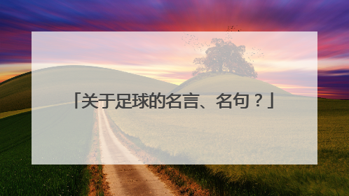 关于足球的名言、名句？