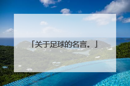 关于足球的名言。