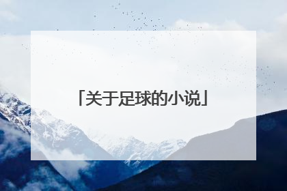 关于足球的小说