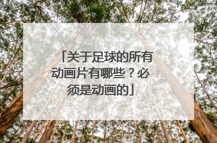 关于足球的所有动画片有哪些？必须是动画的