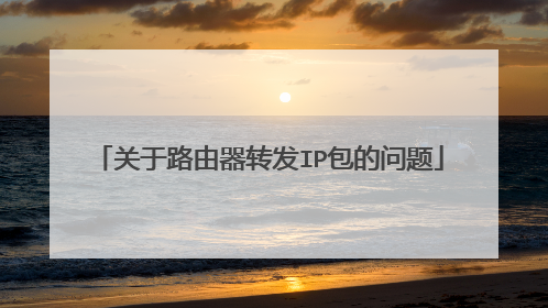 关于路由器转发IP包的问题