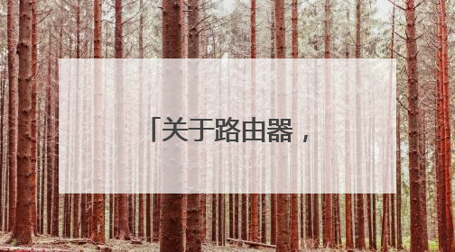 关于路由器，请教一下，百兆有线，千兆无线是什么意思