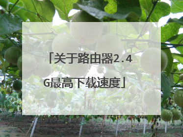 关于路由器2.4G最高下载速度