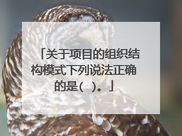 关于项目的组织结构模式下列说法正确的是( )。