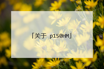 关于 p150HM