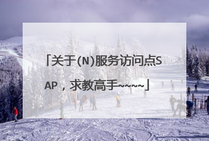 关于(N)服务访问点SAP,求教高手~~~~