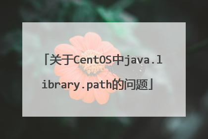 关于CentOS中java.library.path的问题