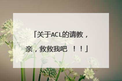 关于ACL的请教,亲,救救我吧 !!