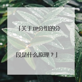 关于IP分组的分段是什么原理?
