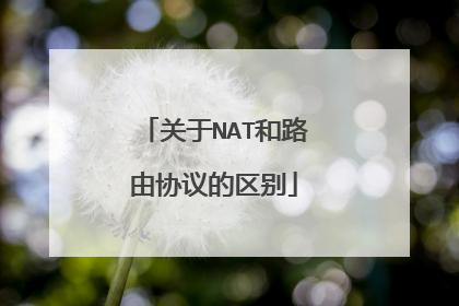 关于NAT和路由协议的区别