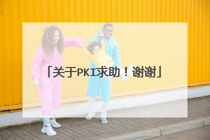 关于PKI求助!谢谢