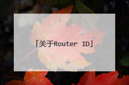 关于Router ID