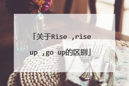 关于Rise ,rise up ,go up的区别