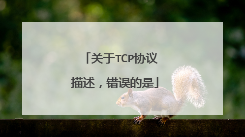 关于TCP协议描述,错误的是