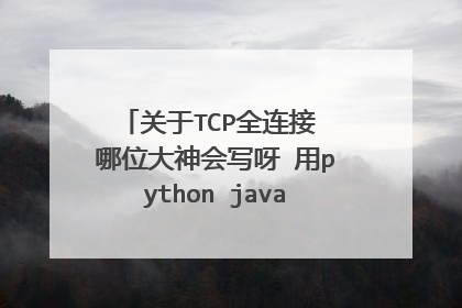 关于TCP全连接 哪位大神会写呀 用python java 都行 万分感谢呀