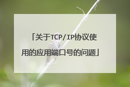 关于TCP/IP协议使用的应用端口号的问题