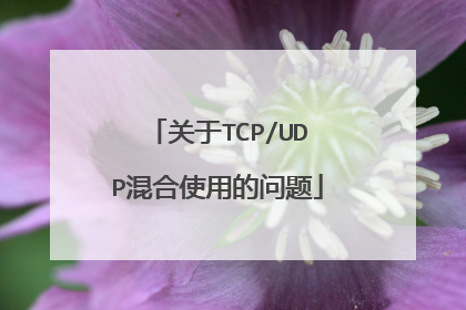 关于TCP/UDP混合使用的问题