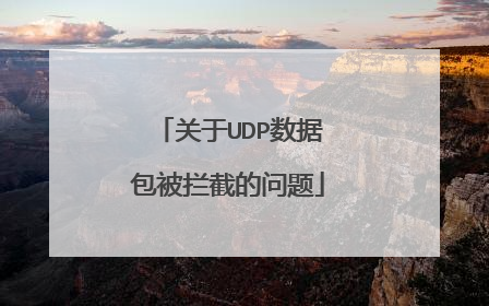 关于UDP数据包被拦截的问题