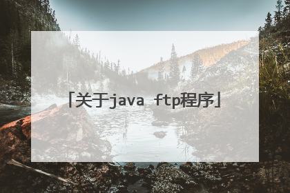关于java ftp程序