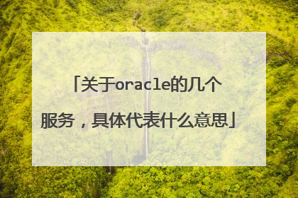 关于oracle的几个服务，具体代表什么意思