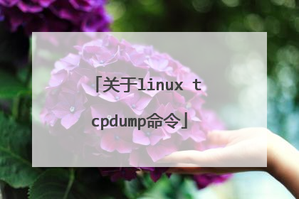 关于linux tcpdump命令