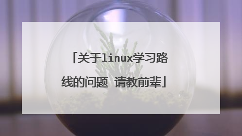 关于linux学习路线的问题 请教前辈