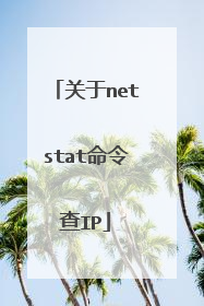 关于netstat命令查IP