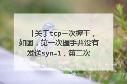 关于tcp三次握手，如图，第一次握手并没有发送syn=1，第二次也没有发送syn=1，ack=1，