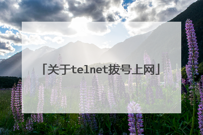 关于telnet拔号上网
