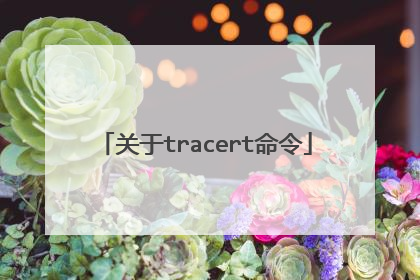 关于tracert命令