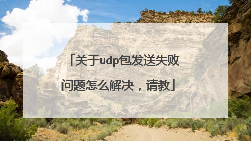 关于udp包发送失败问题怎么解决,请教