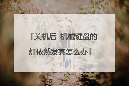 关机后 机械键盘的灯依然发亮怎么办