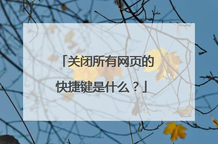 关闭所有网页的快捷键是什么?