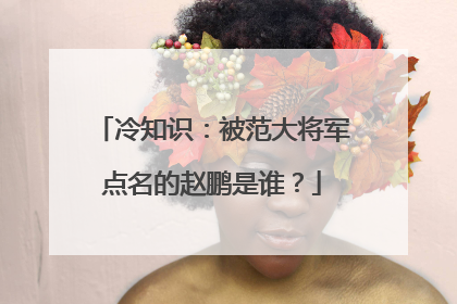 冷知识:被范大将军点名的赵鹏是谁?