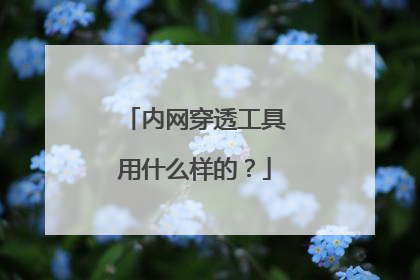 内网穿透工具用什么样的?