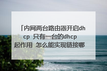 内网两台路由器开启dhcp 只有一台的dhcp起作用 怎么能实现链接哪台那台指定ip?