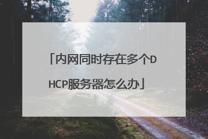 内网同时存在多个DHCP服务器怎么办