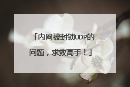 内网被封锁UDP的问题，求救高手！