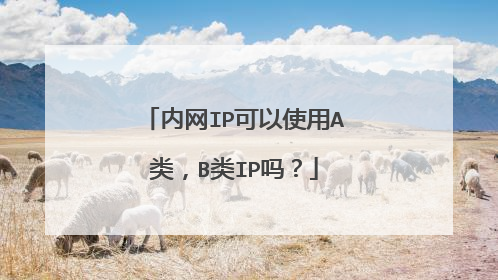 内网IP可以使用A类，B类IP吗？