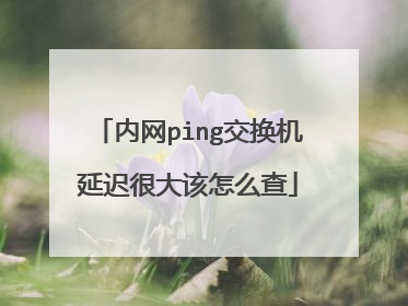 内网ping交换机延迟很大该怎么查