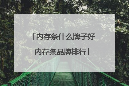 内存条什么牌子好 内存条品牌排行