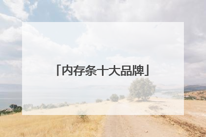 内存条十大品牌