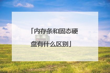 内存条和固态硬盘有什么区别