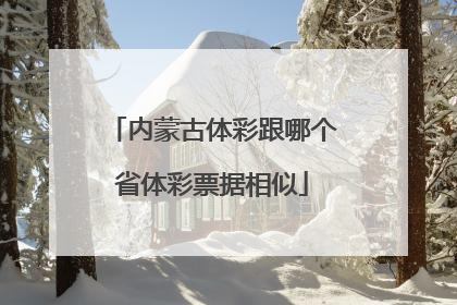 内蒙古体彩跟哪个省体彩票据相似